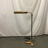 Contemporary Crate & Barrel "Fleming" Antiqued Brass Floor Lamp