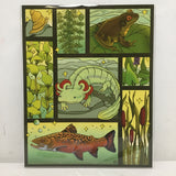 Rachel Feirman "Freshwater Flora & Fauna" 8x10 Digital Art Print