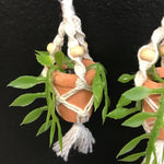 String Greens XS Mini Faux Neon Pothos Earrings