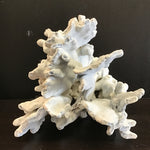 Blue Ridge Coral Specimen