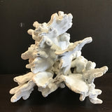 Blue Ridge Coral Specimen