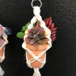 String Greens XS Mini Faux Succulent Mix Earrings