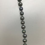 17" Freshwater Pearl Necklace