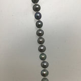 17" Freshwater Pearl Necklace