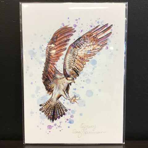 Cruz Illustrations "Osprey" 5x7 Signed Art Print