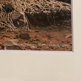 Alexa PM Photography Prasat Pram Temple, Cambodia 8x10 Matted Photo Print