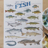 Marika Chew "New York State Fish" 9x12 Signed Art Print