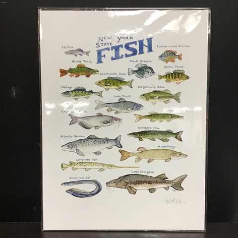 Marika Chew "New York State Fish" 9x12 Signed Art Print