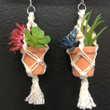 String Greens XS Mini Faux Succulent Mix Earrings