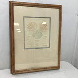 1984 Limited Edition "Summer Scallops" Signed Embossed Print