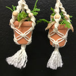 String Greens XS Mini Faux Rabbit's Foot Fern Earrings