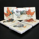 Susan Sitaraman Single Chicken Decoupage On White Tile Magnet