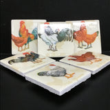 Susan Sitaraman Single Chicken Decoupage On White Tile Magnet