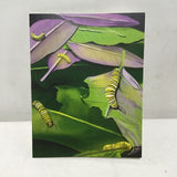 Posa Journals Set of 4 "Monarch Butterfly" Illustrated Note Cards