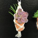 String Greens XS Mini Faux Succulent Mix Earrings