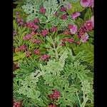 Andrea Strongwater "Dusty Miller With Pinks" Magnet