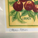 Andrea Strongwater "Cornell Apples" 8x10 Print in 12x16 Matting