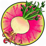 Rachel Feirman Radish Sticker