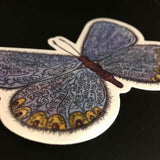 Andrea Strongwater Karner Blue Butterfly Large Sticker