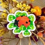 Rachel Feirman Ladybug & Clover Sticker