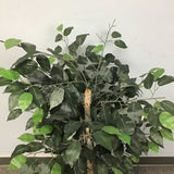 Faux Fig Plant