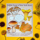Rachel Feirman "Edible Fungi of New York State" 8x10 Digital Art Print