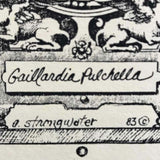 Andrea Strongwater Black & White 1983 "Gaillardia Pulchella" 5.5x8.5 Notecard