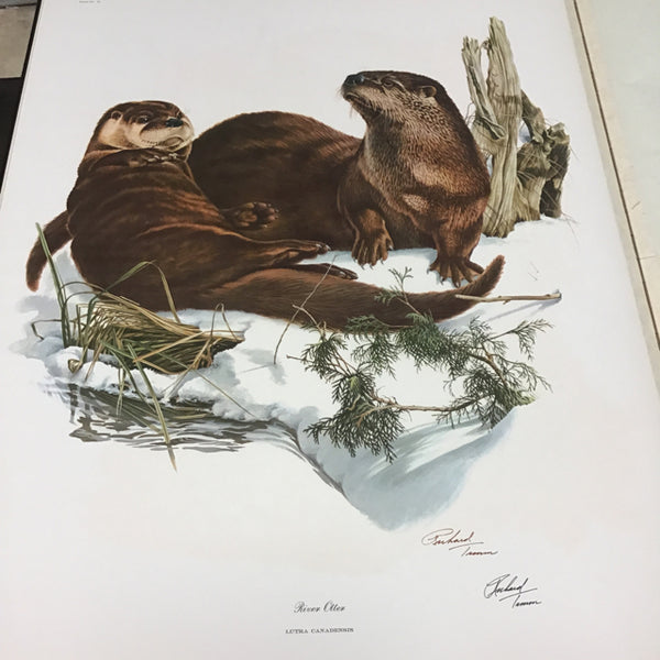 8c1e2fac84b9e03110bbb696744bbf