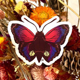 Rachel Feirman Agrias Butterfly Sticker