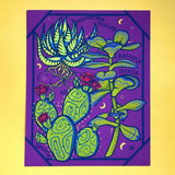 Rachel Feirman "Succulent Study" 5x7 Print