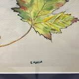 Signed Original Autumn Leaves Watercolour Painting