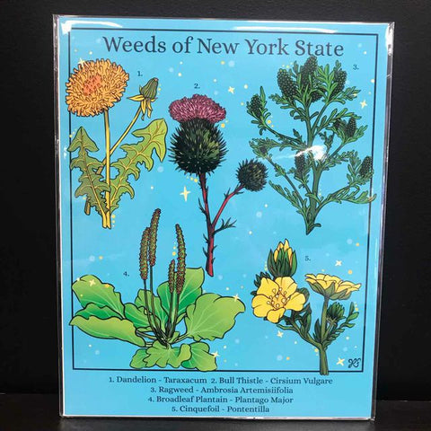 Rachel Feirman "Weeds of New York State" 8x10 Digital Art Print